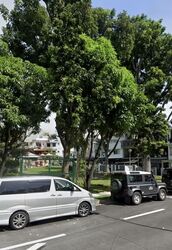 Highgate (D21), Terrace #568282211